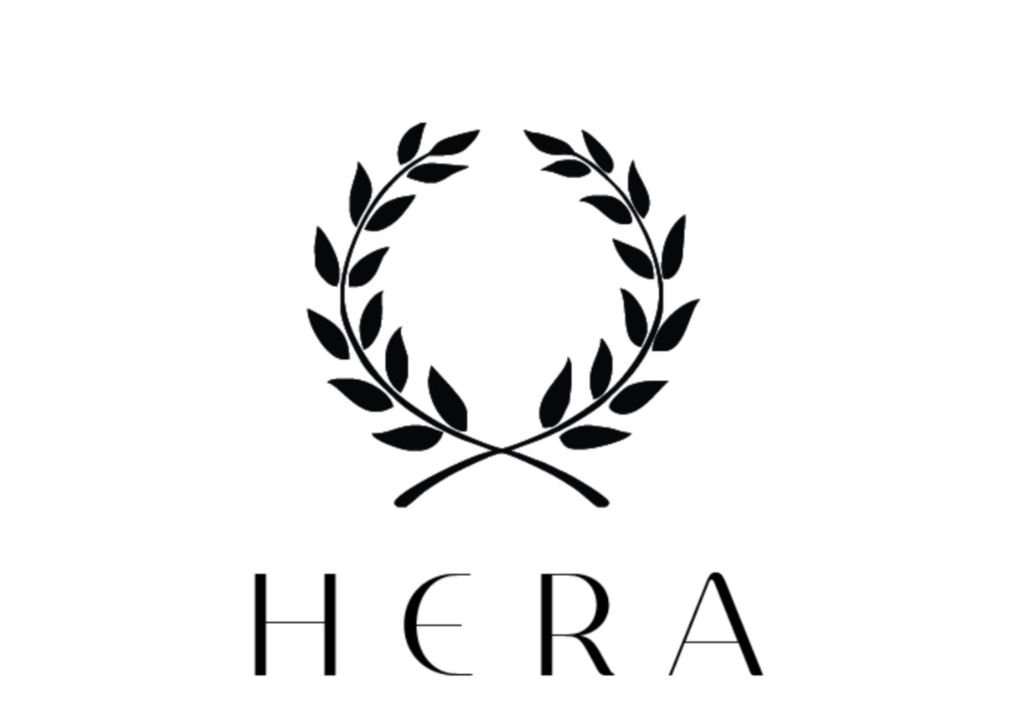 HERA logo